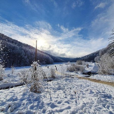 Forest Therapy Suite - Sub Padure Grand Comfort Braşov Exterior foto