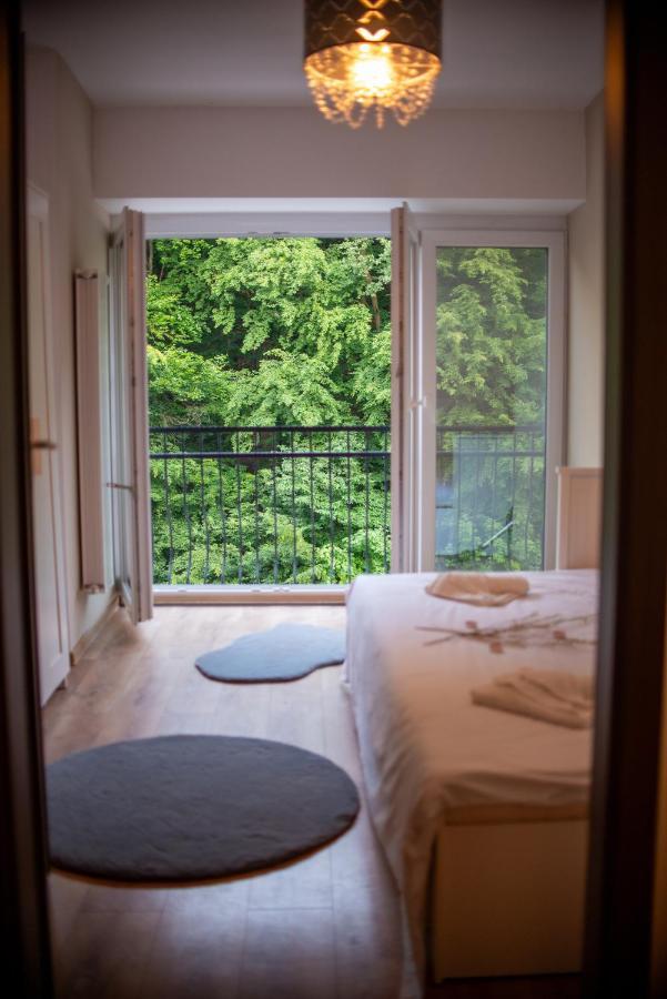 Forest Therapy Suite - Sub Padure Grand Comfort Braşov Exterior foto