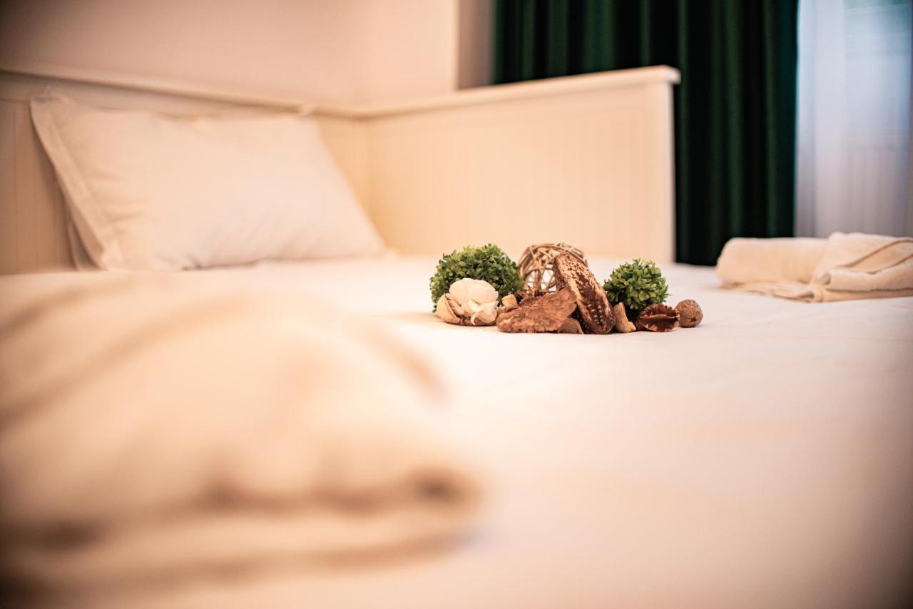Forest Therapy Suite - Sub Padure Grand Comfort Braşov Exterior foto